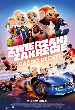 ZWIERZAKI NA ZAKRĘCIE